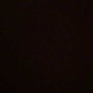 Meet your Posher, Mia